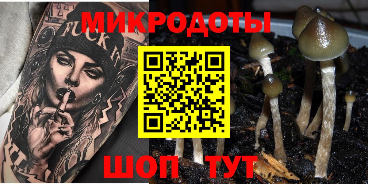 Галлюциногенные грибы мухоморы Сургут